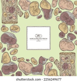 Background with auricularia polytricha: piece of auricularia mushroom, auricularia polytricha mushrooms. Vector hand drawn mushroom illustrations