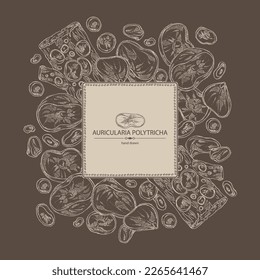 Background with auricularia polytricha: piece of auricularia mushroom, auricularia polytricha mushrooms. Vector hand drawn mushroom illustrations