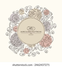 Background with auricularia polytricha: piece of auricularia mushroom, auricularia polytricha mushrooms. Vector hand drawn mushroom illustrations