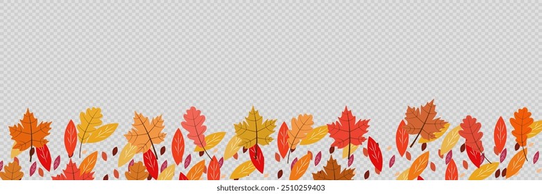 Background with autumn colorful leaves.On a transparent background.Vector.