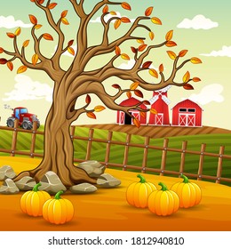 Background of autumn farm landscape