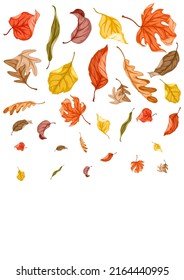 Background with autumn foliage. Illustration of leaves.