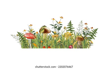 Background autumn grass mushrooms. Isolate on a white background. Vector illustration.