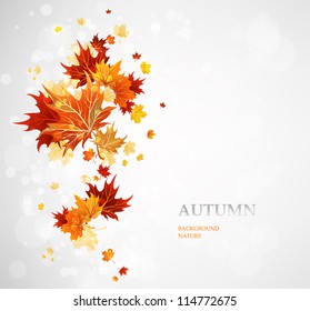 Background with autumn leaves