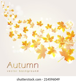 Background with autumn leaves