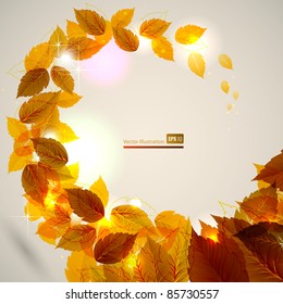 fondo con hojas de otoño