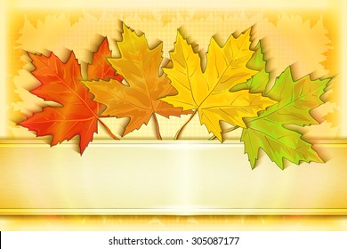 Background with Autumn Leaves. Back to school. Vector Illustration