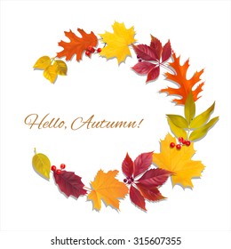 Background with autumn leaves and berries. Vector illustration.