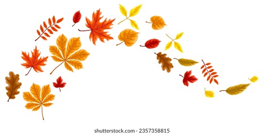 Background with autumn leaves. Illustration with various foliage.