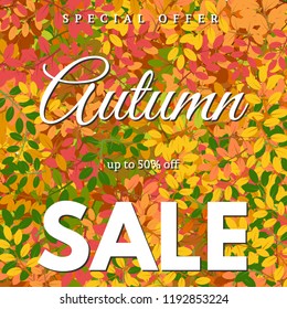 Background with autumn leaves and an inscription Autumn sale. Vector illustration
