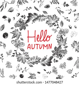 Background with autumn leaves, nuts, berries. Vector hand drawn leaves of oak, maple, nuts, lingonberries. Hello, Autumn! Vector hand-drawn design for autumn banner, card, invitation.