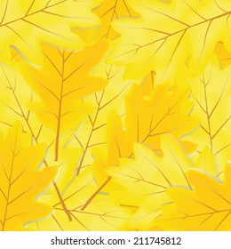 background from autumn leaves of oak