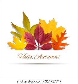 Background with autumn leaves. Vector illustration.