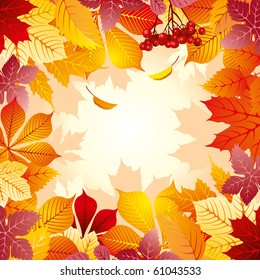 background with autumn leaves, wonderful elements to your design