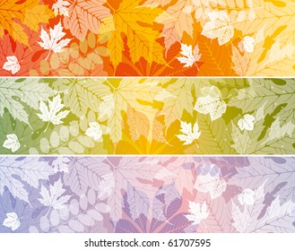 background with autumn leaves, wonderful elements to your design