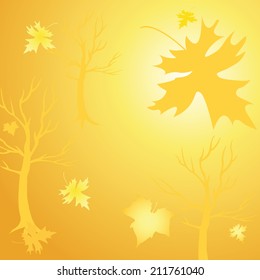 background of autumn maple gold tree and leaves
