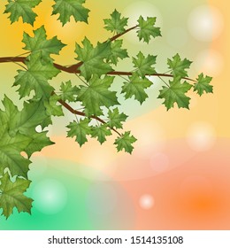 Background with autumn maple leaves