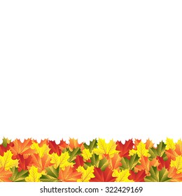 background autumn maple leaves
