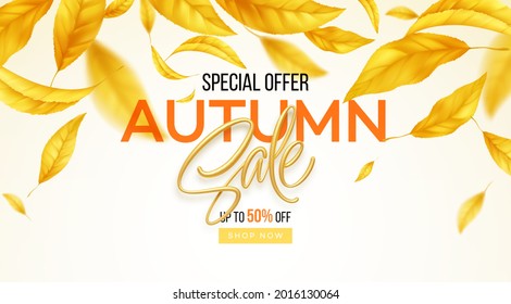 Background for the autumn season of discounts. Fall sale background with flying yellow and orange autumn leaves. Vector illustration EPS10