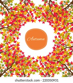 Background of autumn trees