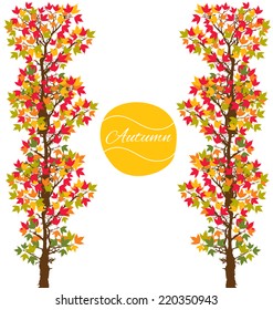 Background of autumn trees