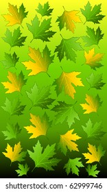 Background with autumnal leaves. Vector.