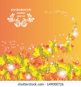 background autumnal orange leaf of maple vector