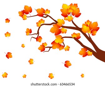 Background with autumnal tree with leaves. Vector.