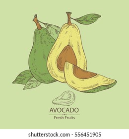 Background with avocado . hand drawn