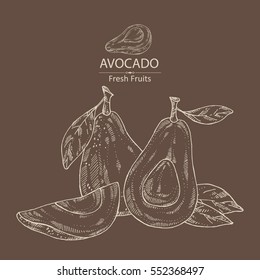 Background with avocado and avocado slice. hand drawn