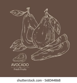 Background with avocado and avocado slice. hand drawn