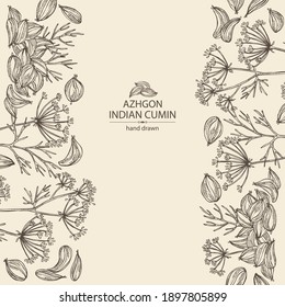 Background with azhgon, indian cumin: plant and azhgon seeds. Vector hand drawn 