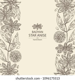 Background with badyan, star anise: fruit, flower, star anise seeds and leaves. Vector hand drawn illustration.