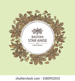 Background with badyan, star anise: fruit, flower, star anise seeds and leaves. Vector hand drawn illustration.