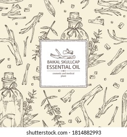 Background with baikal skullcap flowering branch, root and bottle of baikal skullcap essential oil. Cosmetic, perfumery and medical plant. Vector hand drawn illustration.