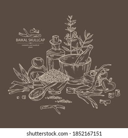 Background with baikal skullcap: baikal skullcap flowering branch and root, soap and bath salt . Cosmetic and medical plant. Vector hand drawn illustration. 