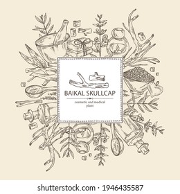 Background with baikal skullcap: baikal skullcap flowering branch and root, soap and bath salt . Cosmetic and medical plant. Vector hand drawn illustration. 