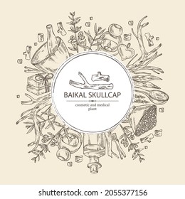 Background with baikal skullcap: baikal skullcap flowering branch and root, soap and bath salt . Cosmetic and medical plant. Vector hand drawn illustration. 