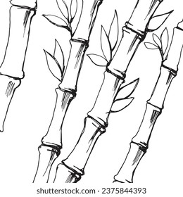 Hintergrund mit Bambuszweigen. Line Art. Vektorgrafik