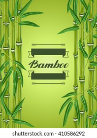 Background with bamboo plants and leaves. Image for holiday invitations, greeting cards, posters, advertising booklets, banners, flayers.
