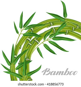Background with bamboo plants and leaves. Image for holiday invitations, greeting cards, posters, advertising booklets, banners, flayers.