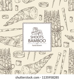 Background with bamboo shoots: young bamboo shoot and piece of shoot. Vector hand drawn illustration. 