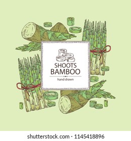 Background with bamboo shoots: young bamboo shoot and piece of shoot. Vector hand drawn illustration. 