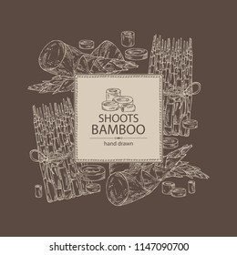 Background with bamboo shoots: young bamboo shoot and piece of shoot. Vector hand drawn illustration. 