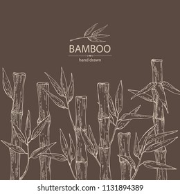 Background with bamboo: bamboo stalk and leaves. Vector hand drawn illustration.