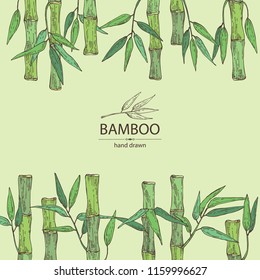 Background with bamboo: bamboo stalk and leaves. Vector hand drawn illustration.