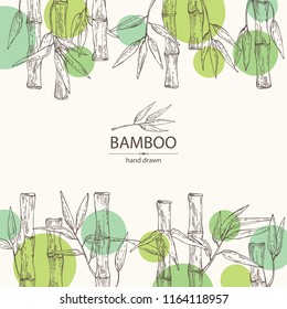 Background with bamboo: bamboo stalk and leaves. Vector hand drawn illustration.