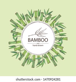 Hintergrund mit Bambus: Bambusstalk und Blätter. Vektorgrafik, handgezeichnet.