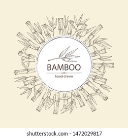 Background with bamboo: bamboo stalk and leaves. Vector hand drawn illustration.