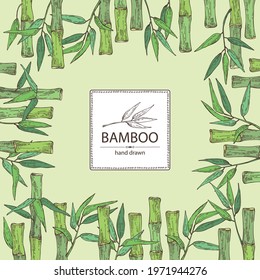 Background with bamboo: bamboo stalk and leaves. Vector hand drawn illustration.